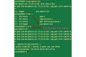 Virdergrond (FG) Kommando an Unixssystemer: Syntax, Benotzung, a praktesch Beispiller